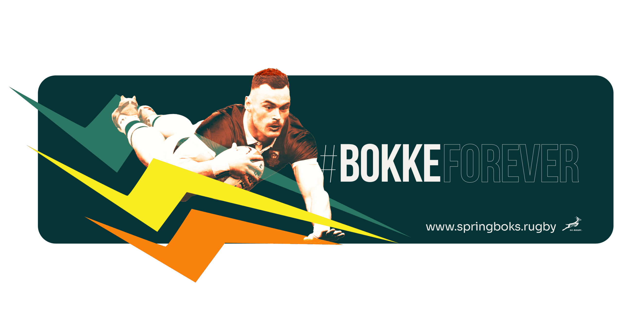BOKKE BANNER